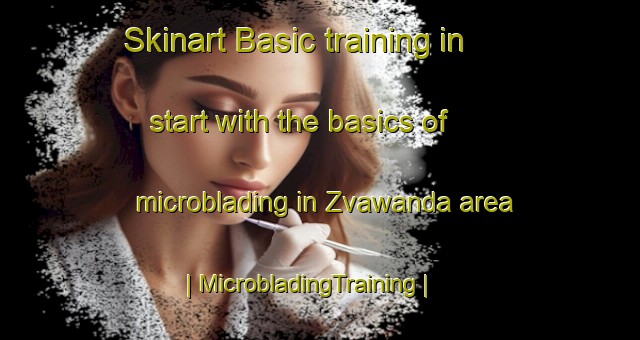 Skinart Basic training in start with the basics of microblading in Zvawanda area | MicrobladingTraining | MicrobladingClasses | SkinartTraining-Zimbabwe